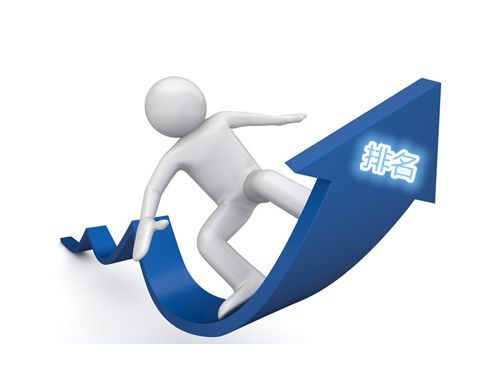 官方网站建立与seo手艺