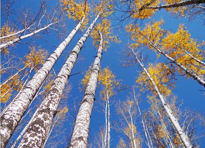 网站优化效果,2018百度seo最新算法大全