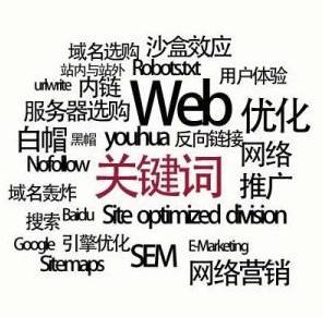 优化网站工具,经常使用的seo专业术语有哪些