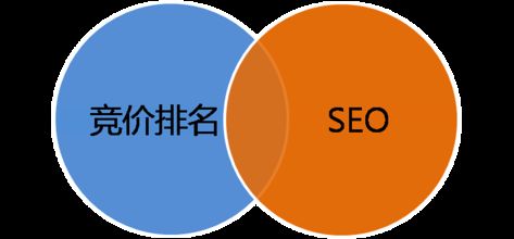 seo快速排名,企业网站建立的重要性是什么？