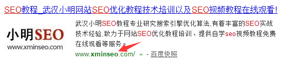 临沂seo：域名中包罗要害词