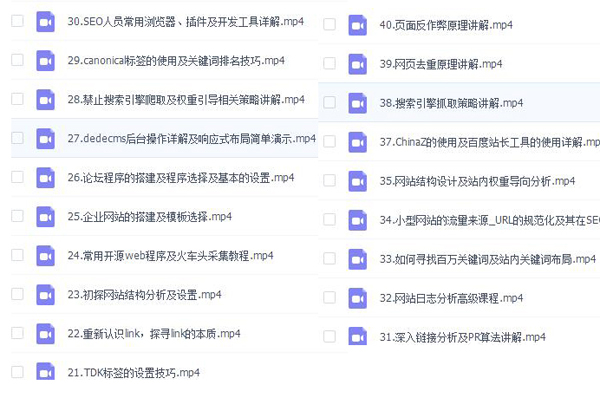 某知名学院内部SEO培训VIP课程，原价3899元！