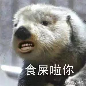 被大部分人低估的SEO搜刮引擎优化妙技