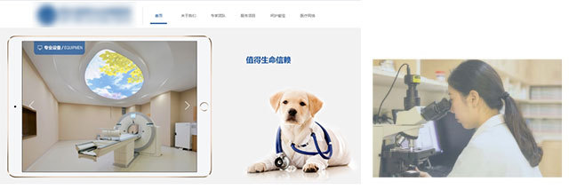 搜狗搜索引擎网络排名优化器,百度均匀线索本钱仅8元，宠物医院推行必需把握当地需求