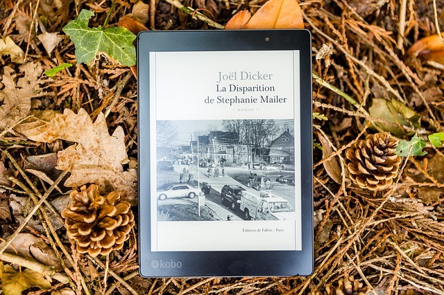 怎么快速提高网站排名,如安在追书神器上投放广告？应当找谁开通？