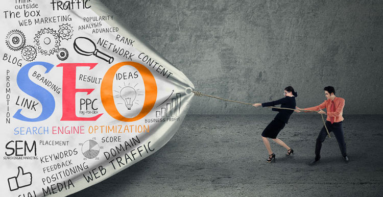 快排seo怎样,SEO优化：为什么网站更新了文章却没有排名