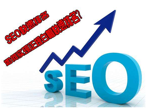 seo疾速排名