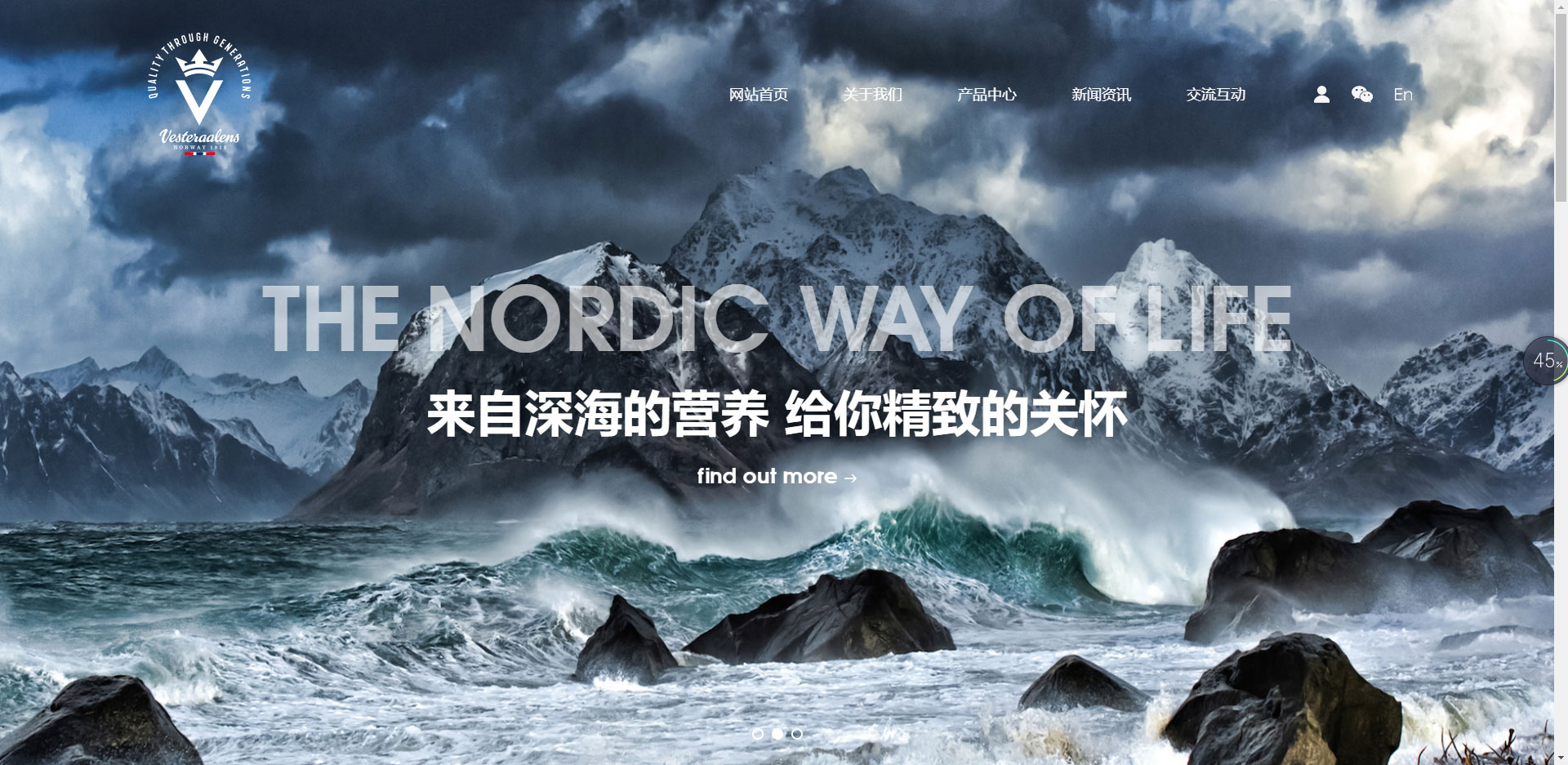 快速优化排名,伟鳕罗蓝