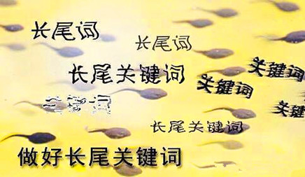 哪些因素影响长尾关键词排名结果呢?