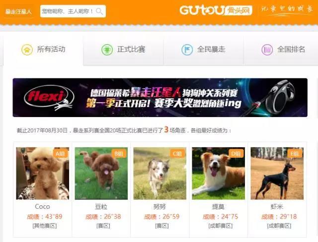 西安网络优化,一个卖狗粮的平台为何能一年卖五六个亿？