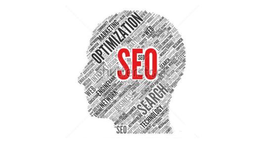 网站seo优化排名