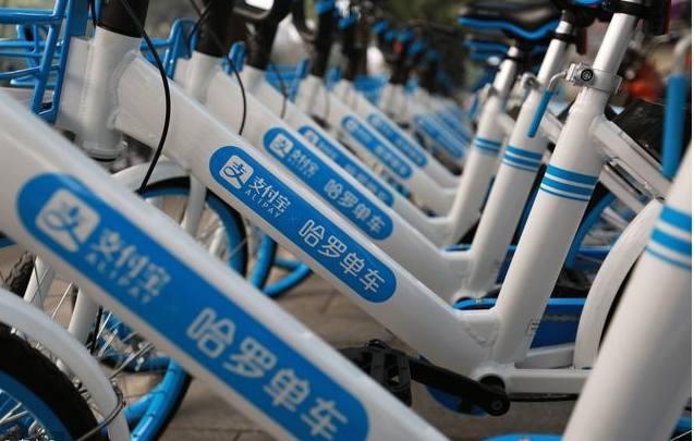 刷seo排名,上海，我回来了！哈罗单车和杨磊的2年零1个月-疾速排名