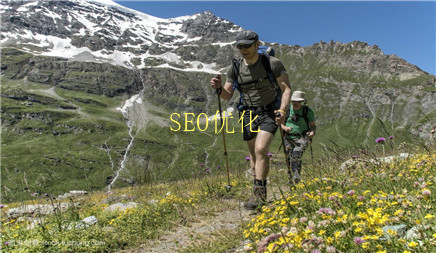 网站优化做好这几点权重延续提拔