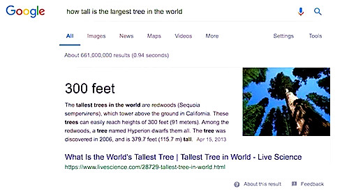 seo快速排名最新刷法,SEO的将来