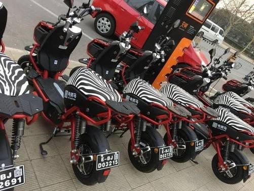 成都seo工具,电斑马爆资金链逆境，同享电动车凛冬难捱