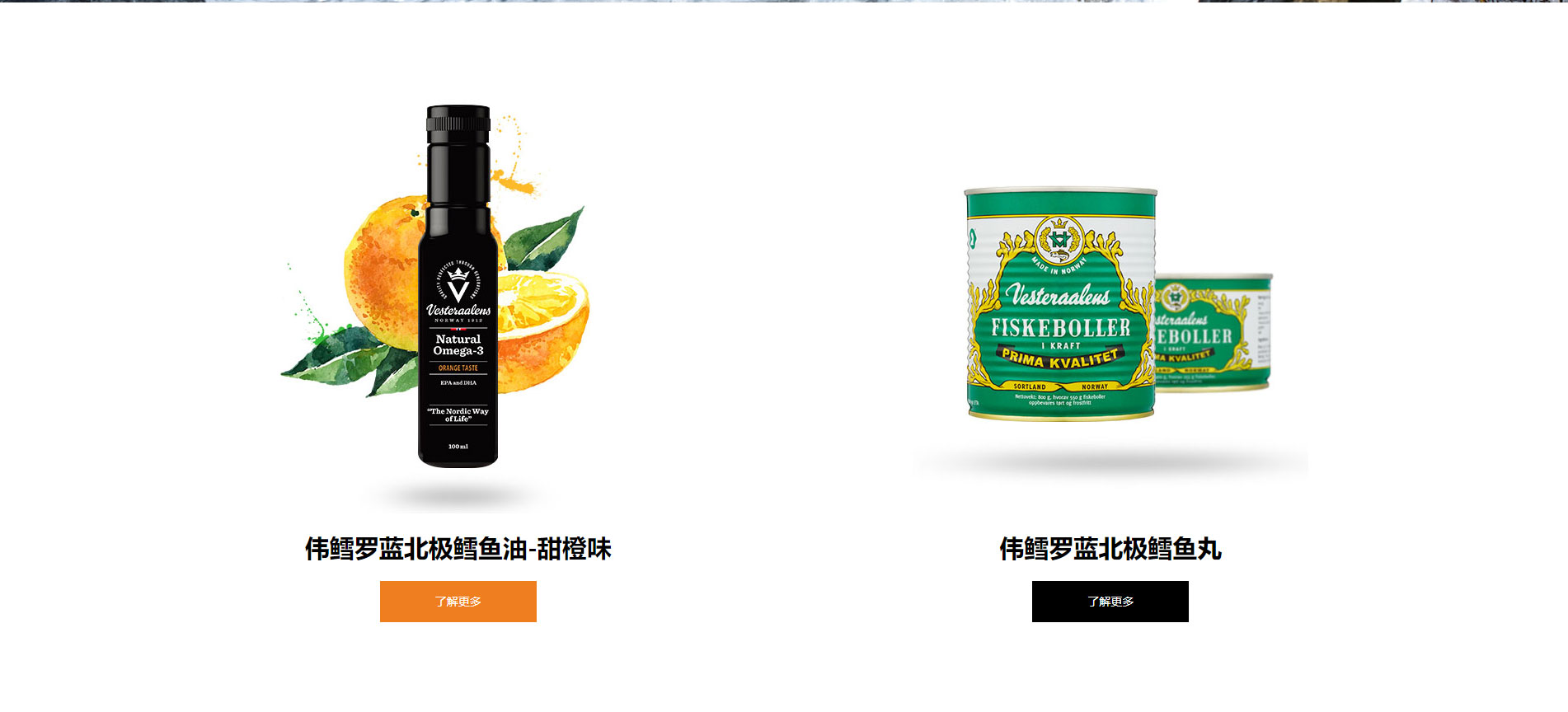 快速优化排名,伟鳕罗蓝