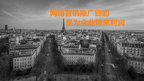 快排seo软件,网站推行营销的目标